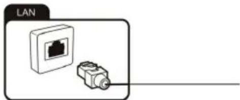 LAN
