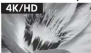 SONY Bravia KD-65X9300D - 圖像品質 - 2