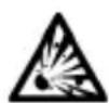 WAHL 100 Year Anniversary 81919 - Danger! Electric shock due to penetration of liquid. - 1