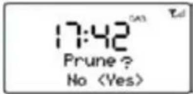 17:42 Prune ? No