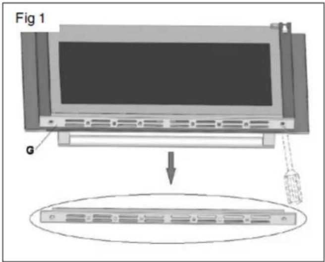 Fig 1 G