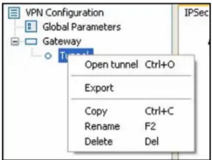 VPN Configuration Global Parameters Gateway Open tunnel Ctrl+O Export Copy Ctrl+C Rename F2 Delete Del