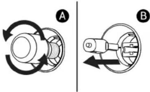 A B
