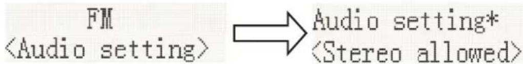 FM Audio setting*