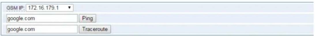 GSM IP: 172.16.179.1 google.com Ping google.com Traceroute