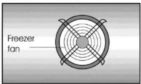 Freezer fan