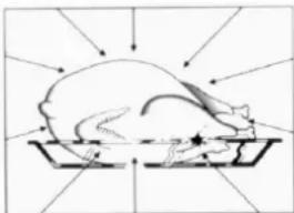 Illustration of a mouse on a tray with directional arrows indicating motion (no text or symbols)