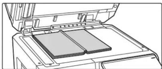 Line drawing of a printer's internal structure showing two rectangular compartments mounted on a tray (no text or symbols)