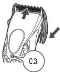 0.3