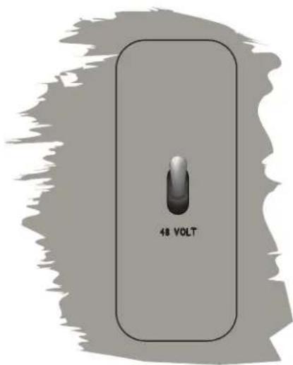 48 VOLT