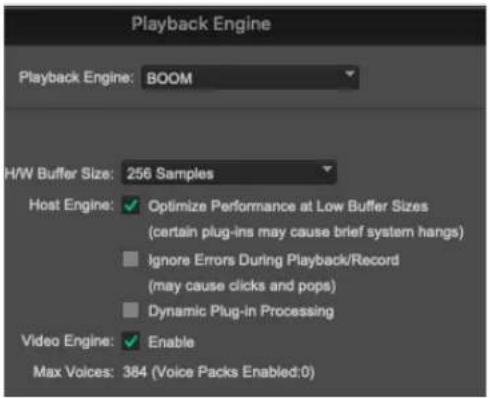 Playback Engine Playback Engine: BOOM H/W Buffer Size: 256 Samples Host Engine: ✓ Optimize Performance at Low Buffer Sizes (certain plug-ins may cause brief system hangs) ■ Ignore Errors During Playback/Record (may cause clicks and pops) ■ Dynamic Plug-in Processing Video Engine: ✓ Enable Max Voices: 384 (Voice Packs Enabled:0)