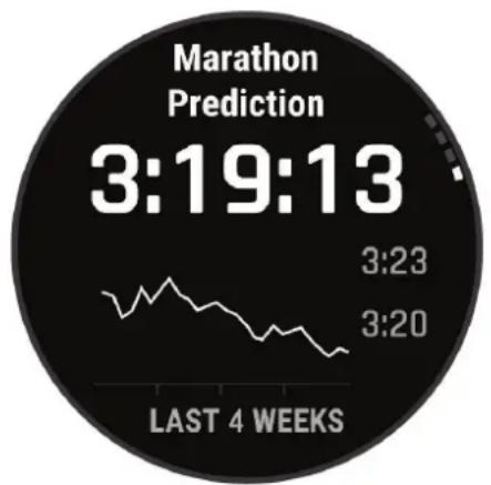 GARMIN MARQ Captain (Gen 2) - Viewing Your Predicted Race Times - 1