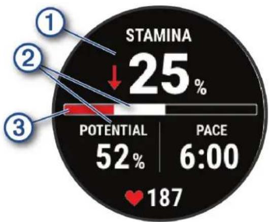 GARMIN MARQ Captain (Gen 2) - Viewing Your Real-Time Stamina - 1