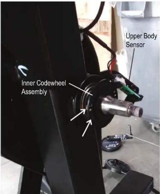 Inner Codewheel Assembly Upper Body Sensor