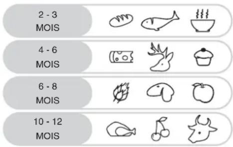 2 - 3 MOIS, 4 - 6 MOIS, 6 - 8 MOIS, 10 - 12 MOIS