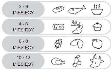 2 - 3 MIESIĘCY 4 - 6 MIESIĘCY 6 - 8 MIESIĘCY 10 - 12 MIESIĘCY
