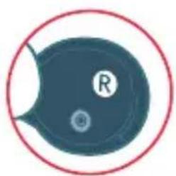 Simple diagram of a circular object with a labeled 'R' and a small circle inside, enclosed in a red circle, no text or symbols beyond the label.
