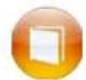 APPLE iPod Nano 7th generation - The Home screen - 9