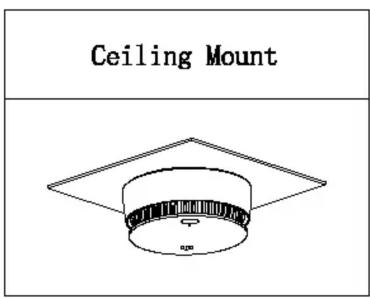 Ceiling Mount