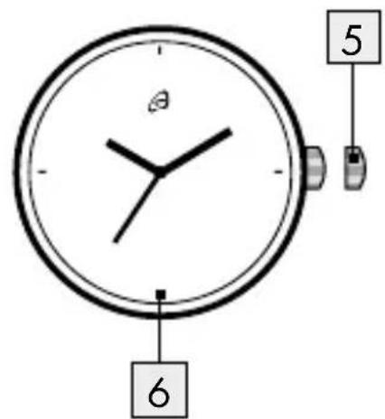 5 6