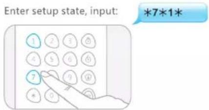 Enter setup state, input: *7*1*