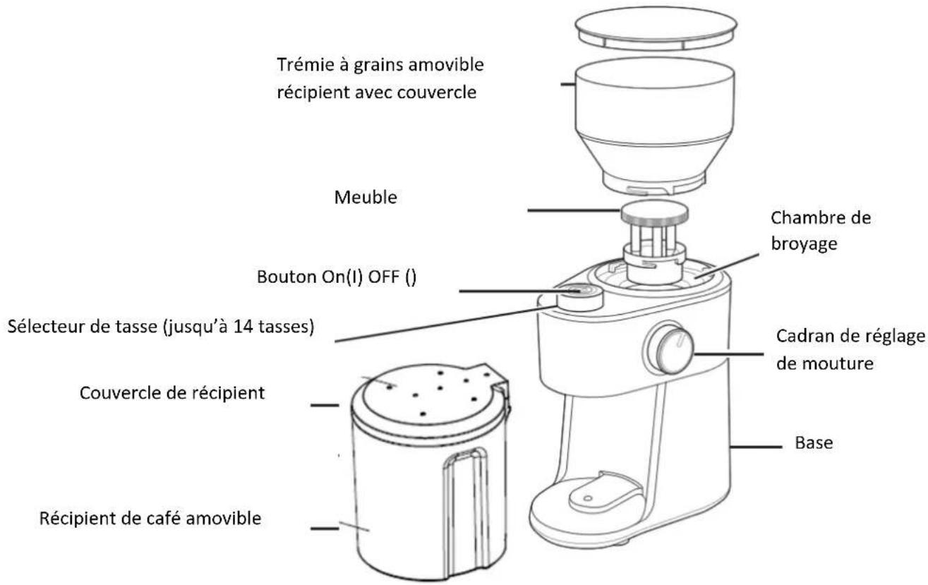 Trémie à grains amovible récipient avec couvercle Meuble Chambre de broyage Bouton On(I) OFF () Sélecteur de tasse (jusqu'à 14 tasses) Couvercle de récipient Cadran de réglage de mouture Récipient de café amovible Base