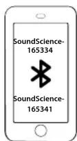 MANHATTAN 165341 - Sound Science Bluetooth®- Lautsprecher mit Tragegriff Anleitung - 4