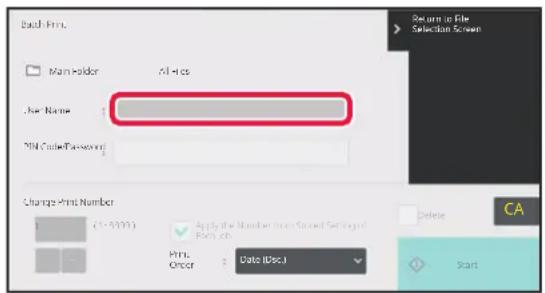 Back Print Main Folder All rights User Name Print Date:Password Change Print Number (1-5000) Apply the Number from Stored Settings of Print. Print Order Date (Disc.)