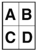 SHARP BP-70C31 - COPYING MULTIPLE ORIGINALS AS A SINGLE PAGE (N-Up) - 6