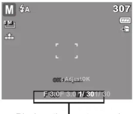 M A 8 M 307 OK: AdjustOK F 3.0 F 3.0 1/ 30 1/ 30