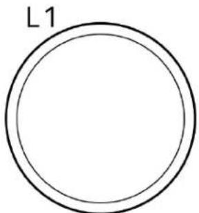 L1