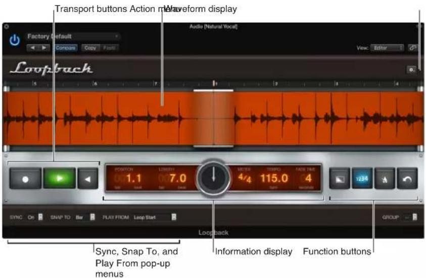 Transport buttons, Action menu, Waveform display. Factory default, Audio [Natural Vocal], Loopback. Position 1.1 0.7.0 METER 4/4 115.0 4. SYNC On SNAP TO Bar PLAY FROM Loop Start. Sync, Snap To, and Play From pop-up menus. Information display, Function buttons, GROUP.