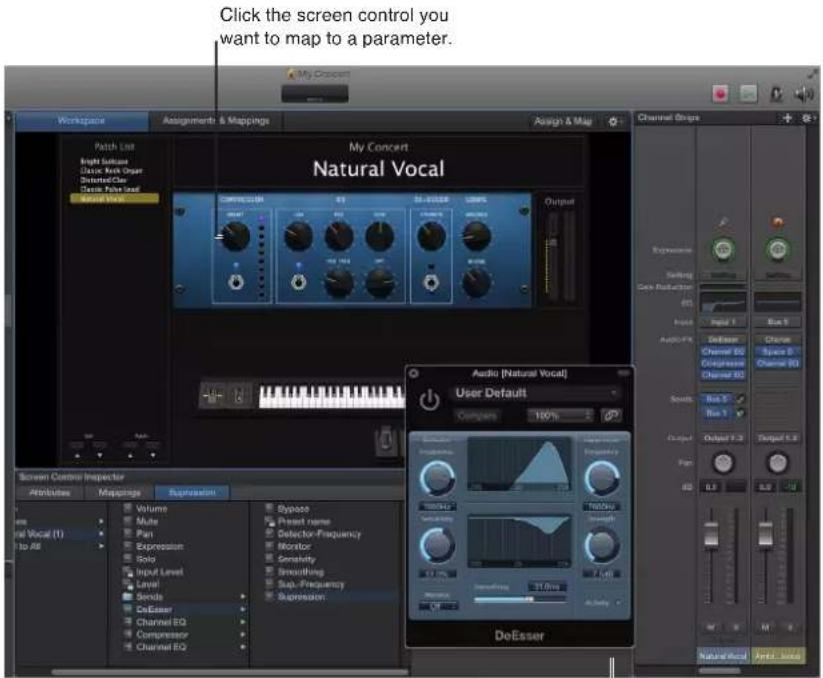 Click the screen control you want to map to a parameter. My Concert, Assignments & Mappings, Assign & Map, Channel Steps, My Concert, Natural Vocal, Screen Control Inspector, User Default, Components 100%, Audio [Natural Vocal], User Default, Components 100%, Audio [Natural Vocal], Output 1.2, Outpu…