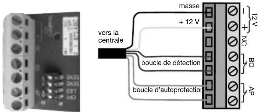 vers la centrale masse + 12 V - 12 V NC BO AP boucle de détection boucle d'autoprotection