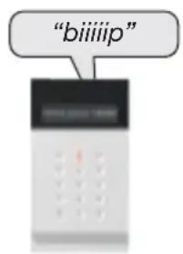 "biliip"