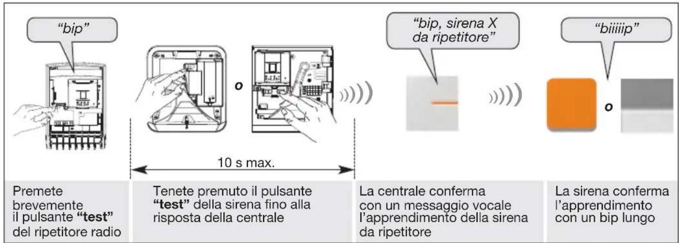 "bip" 10 s max. Premete brevemente il pulsante "test" del ripetitore radio Tenete premuto il pulsante "test" della sirena fino alla risposta della centrale La centrale conferma con un messaggio vocale l'apprendimento della sirena da ripetitore "bip, sirena X da ripetitore" "biililip" La sirena conferma l'apprendimento con un bip lungo
