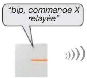 HAGER RLE700X - Apprentissage d'un clavier vocal RLF660X relayé à la centrale - 3