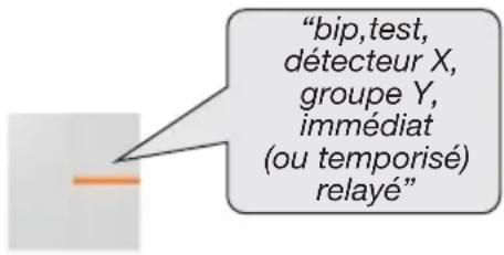 "bip,test, détecteur X, groupe Y, immédiat (ou temporisé) relayé"