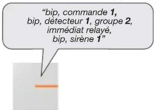 "bip, commande 1, bip, détecteur 1, groupe 2, immédiat relayé, bip, sirène 1"