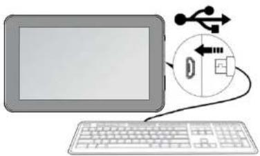 Proscan PLT9999G-K - ◆ Connexion d'un périphérique USB: - 1