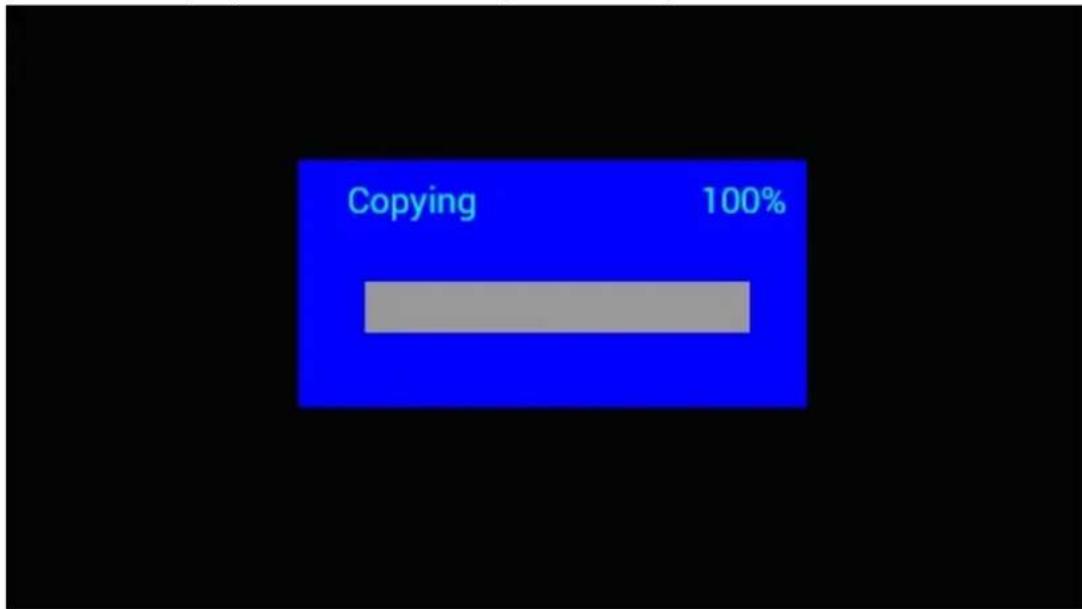 | Category | Value (%) | |---|---| | Copying | 100 |