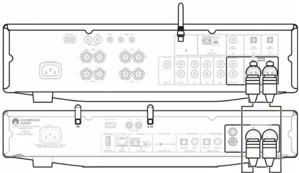 CAMBRIDGE CXN100 - Connexions audio symétriques (XLR) - 1