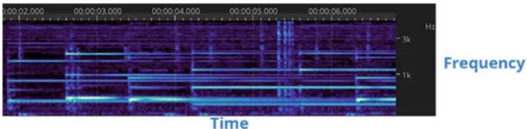 00:00:02.000 00:00:03.000 00:00:04.000 00:00:05.000 00:00:06.000 Hz Frequency -3k -1k Time