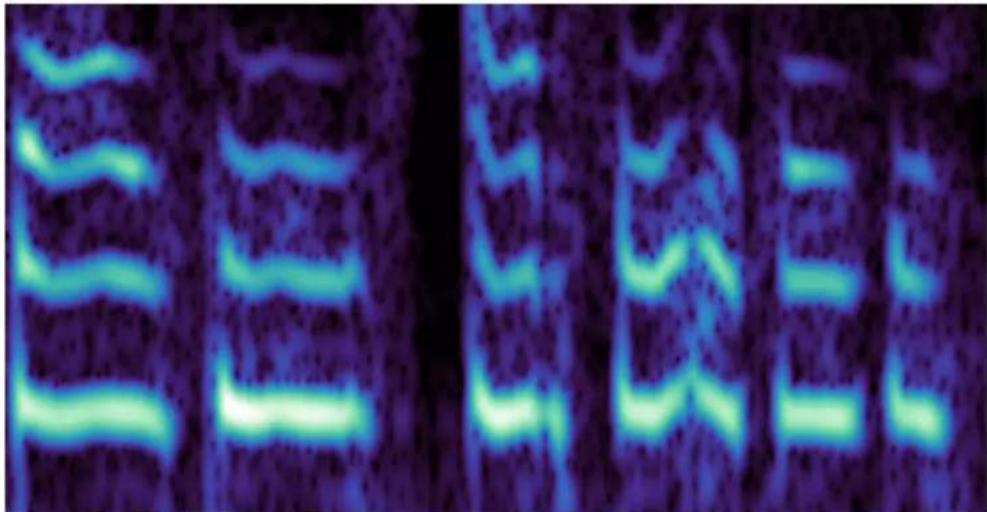 Gel electrophoresis image showing DNA or protein bands with highlighted regions.