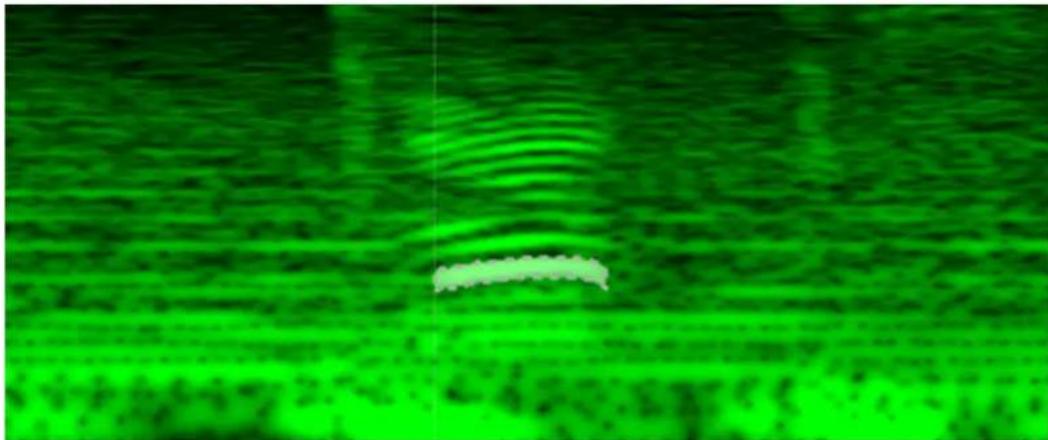 Green-tinted abstract pattern with horizontal striations and a small white horizontal bar at center (no text or symbols)