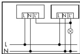 L N L' L N L' N