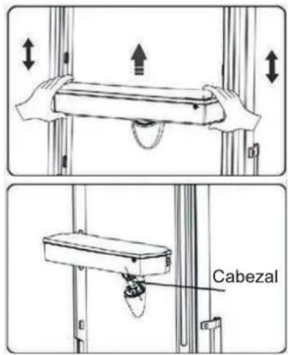 Cabezal