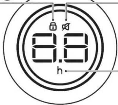 8:8 h