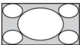 Simple diagram with a central oval and four surrounding circles, no text or symbols present.
