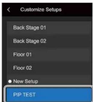 Customize Setups Back Stage 01 Back Stage 02 Floor 01 Floor 02 ● New Setup PIP TEST